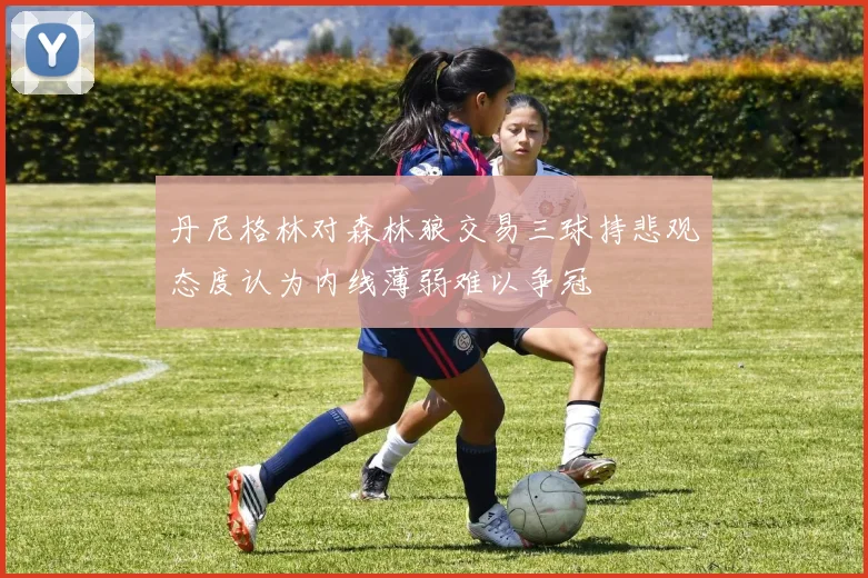 丹尼格林对森林狼交易三球持悲观态度认为内线薄弱难以争冠